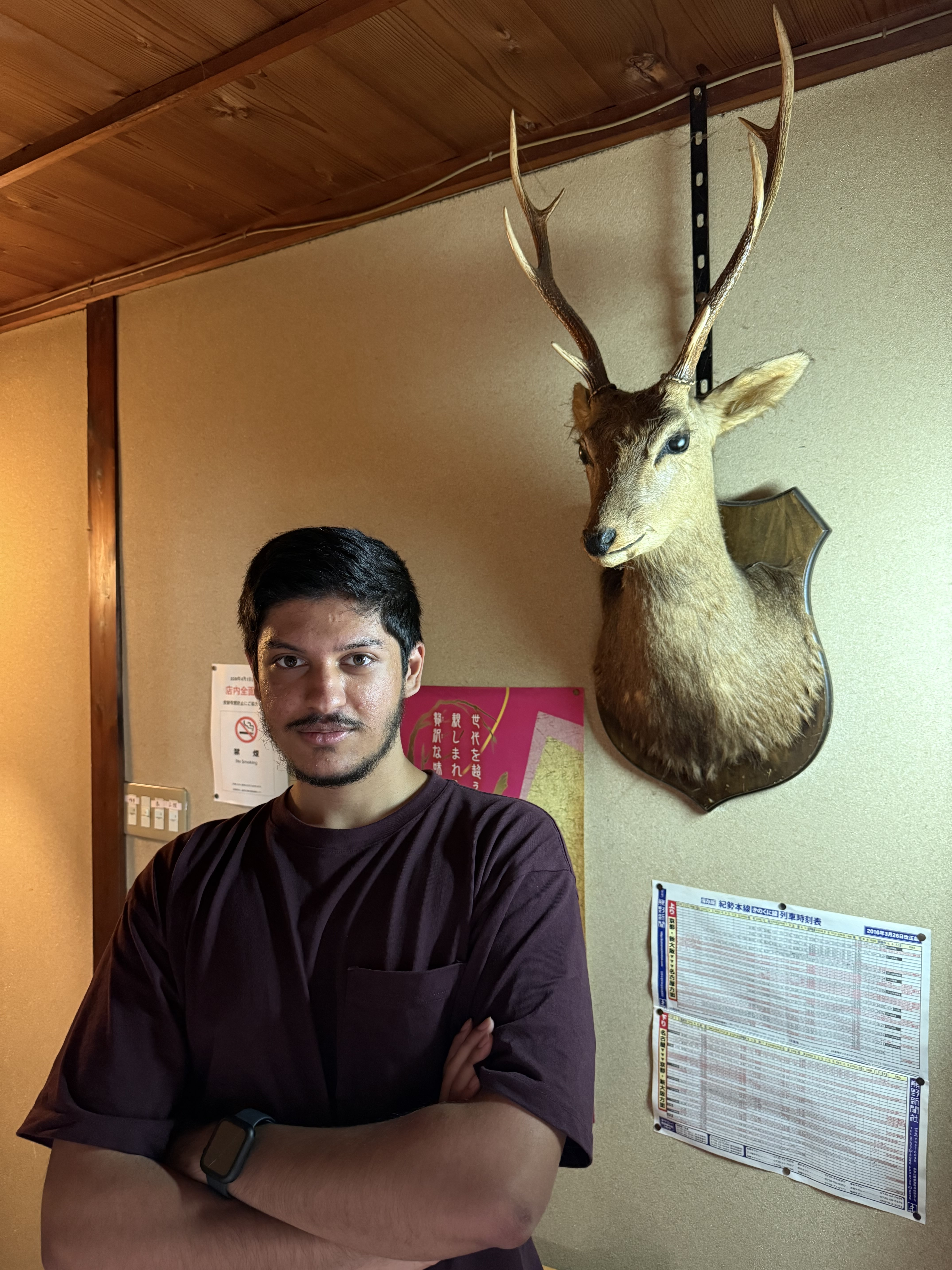 A description of the image